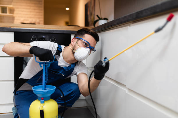Pest Control for Restaurants in Cresson, PA
