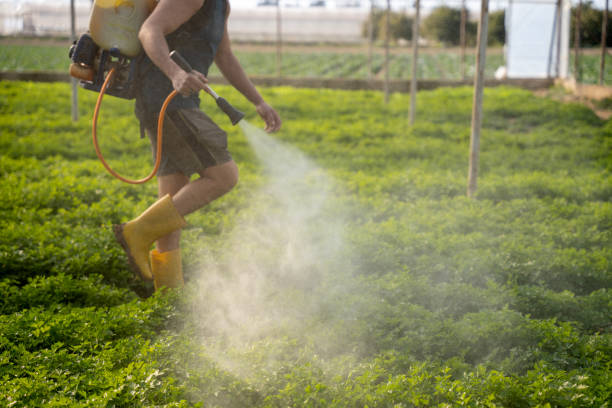 Best Best Pest Control Companies  in Cresson, PA