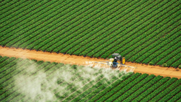 Wasp Removal Services in Cresson, PA