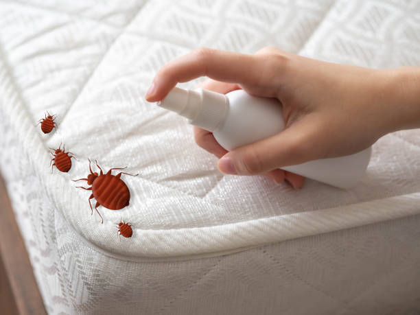 Best Local Pest Control Services  in Cresson, PA