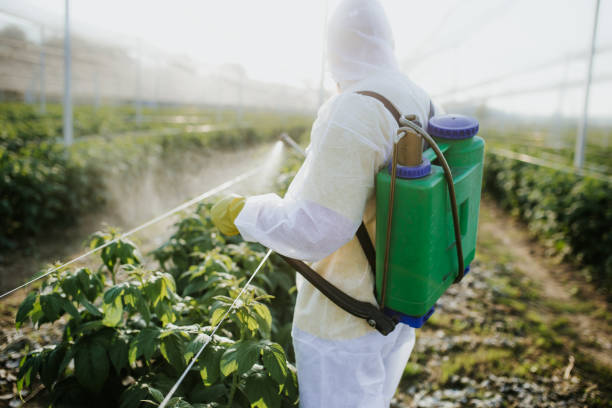 Best Affordable Pest Control Services  in Cresson, PA